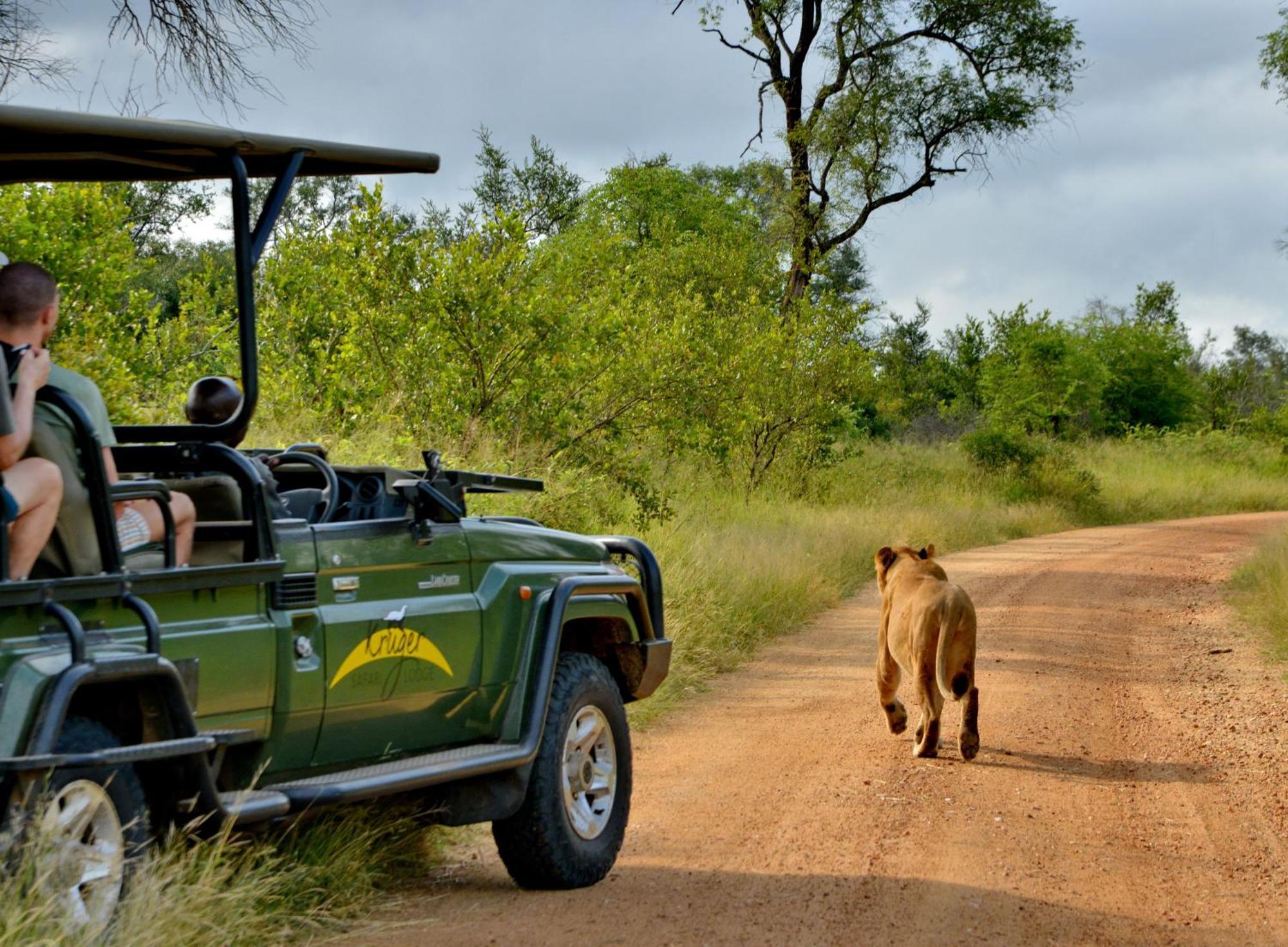 Kruger Safari Lodge Wildreservat Manyeleti Exterior foto