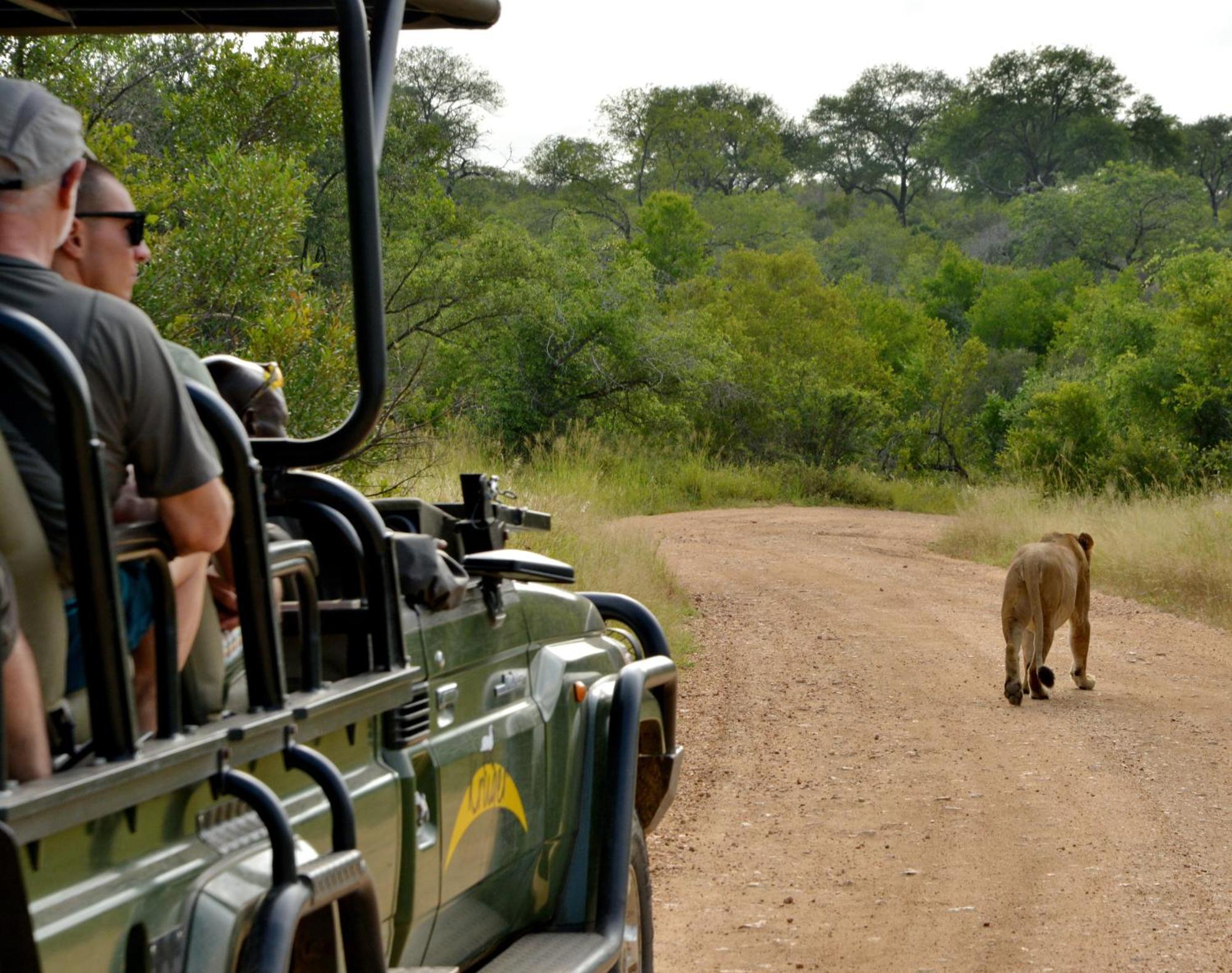 Kruger Safari Lodge Wildreservat Manyeleti Exterior foto